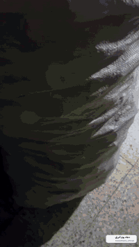 سحب قوطيات • قوطيات نظيفة • المحافظات