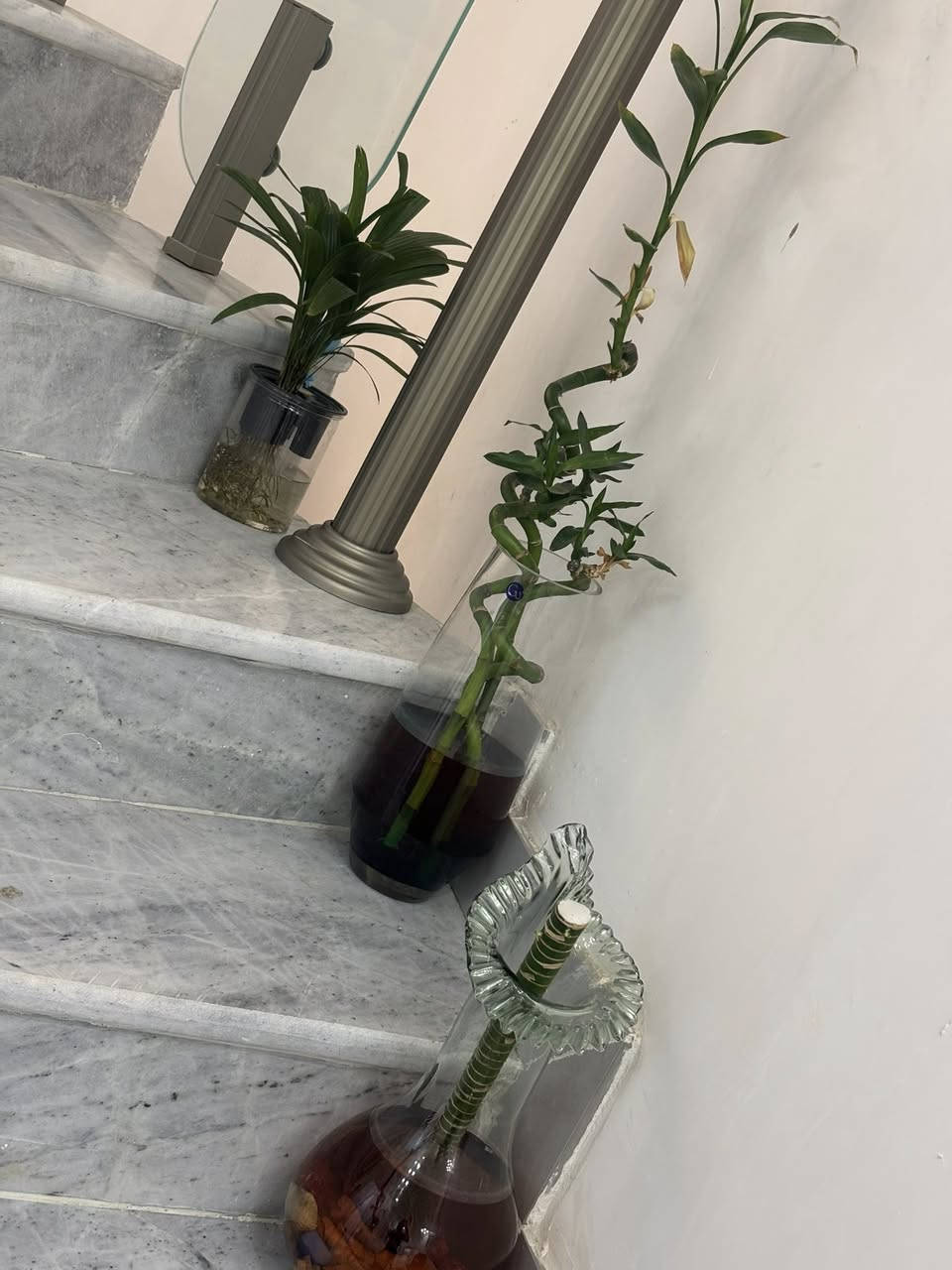 غراض بيت للبيع اسعار مناسبه
ناصريه مركز


**إذا كنت صاحب هذا الإعلان وتريد حذفه لأي سبب، رجاءا أرسل رسالة إلى الدعم الفني**