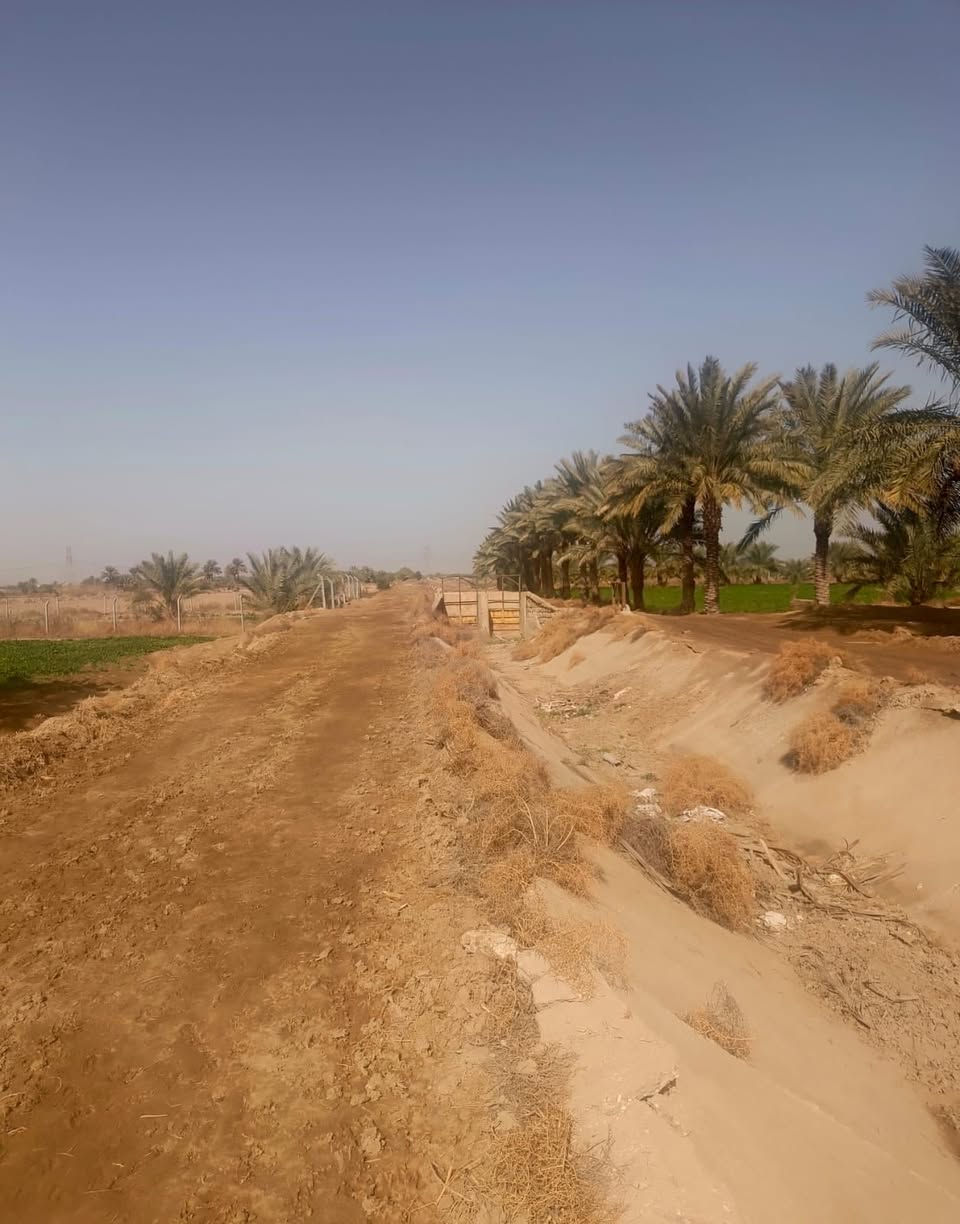 السلام عليكم

2 دونم الاّ ربع للبيع طابو زراعي سند 25 تحويل مباشر بإسم المشتري 💯✅
العنوان. خلف جامعه بابل.🏛 متوفر ماء السقي ( أمام وخلف الأرض مباشرةً)
اساله ، كهرباء، الخدمات كامله     يبعد الطريق العام 800 م  وطريق الرسمي عرضه ٦ متر 

السعر :- خاص ✅

التواصل :- ***********
