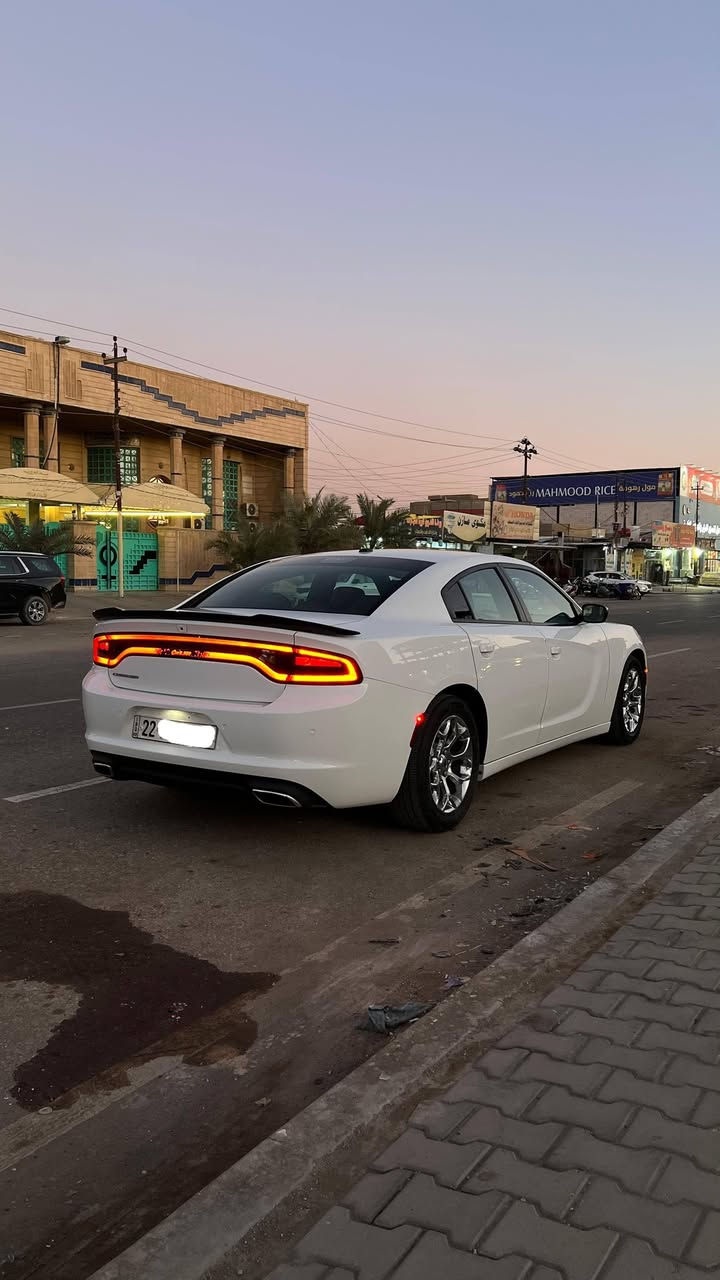 السلام عليكم
شباب المنشور واضح وتفاصيل كله واضحه والله يرزق الجميع 
___________________________
🔷السيارة : #دوج_جارجر
 SXT PLAS
 يعني فول للاخير

🔷سنة الصنع : 2021
🔷اللوحة : اربيل دولي مداور او وكاله 
🔶السعر : 220 ورقة 
🔷الضرر : تبديل وصبغ البنيد وبيه كلير من امريكيا باب خلفي وجاملغ خلفي بدون معجون بدون فتح  (صور الضرر مرفقة بالاعلان)
🔷ضرر الايرباك : ستيرن ودشبول وبردة وراجع سستم اصلي ودشبول مغلف علمود التطريز 
🔷رقم الشاصي : 2C3CDXBG4MH548464
______________________________________
🔷المواصفات:
🔹حجم المحرك 6 سلندر 3.6L
🔹عداد المسافة 72 الف ميل 
🔹فتحة سقف
🔹حساسات خلفية
🔹كراسي جلد بلاد 
🔹الكراسي الامامية كهرباء وتدفئه تبريد 
🔹الكراسي الخلفيه تدفئة 
🔹ويل كب حجم 18 انج مع اطارات بحالة جيدة
🔹وضعيات قيادة
🔹لايتات LED بالكامل
🔹شاشه تحكم بالايعازات
🔹تحكم ستيرن جهتين
——————————————
☎️ الاتصال :
***********
📍النجف الاشرف -
