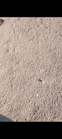 كورنيش تميم • كاع • ٢٠٠م