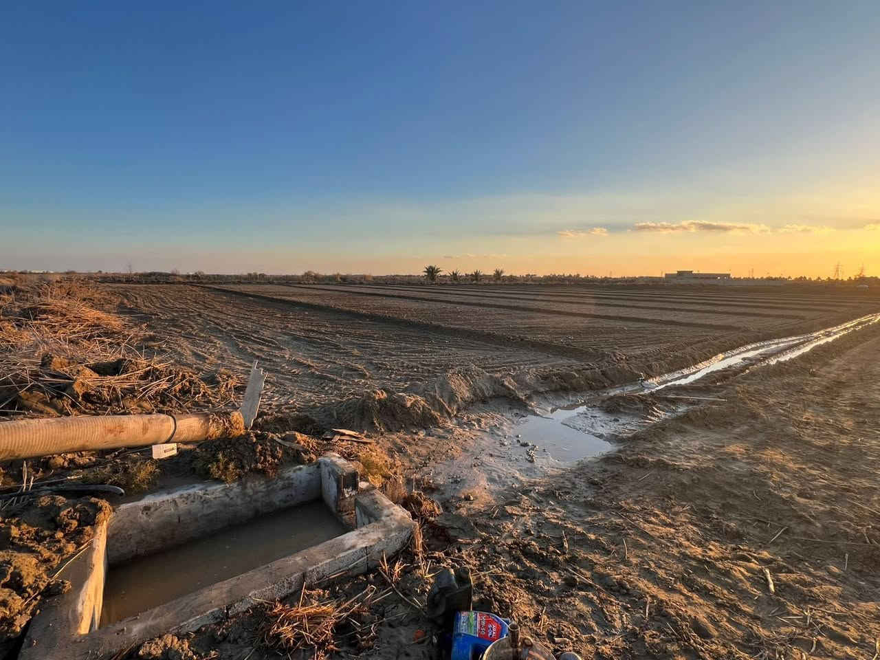 فرصه مميزه وبيع مستعجل ك قطعه ارظ طابو زراعي عقد 35 

ملاحظه ----- الارظ مشموله بمعاملت التطويب 

مساحه 6 دونم كافت الخدمات ماء سقي صيف وشتاء ماء أسأله

 طريقين  الى الارض قريب ع شارع العام 400 متر تقريباً 

📍العنوان حله وردية خارج قريت البو طيف قرب جدول بابل موقع مميز جدا 

💸سعر الدون الواحد14مع المجال      

☎️للاستفسار ***********
