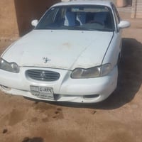 سوناتا • فحص كركوك • أوراق جاهزة