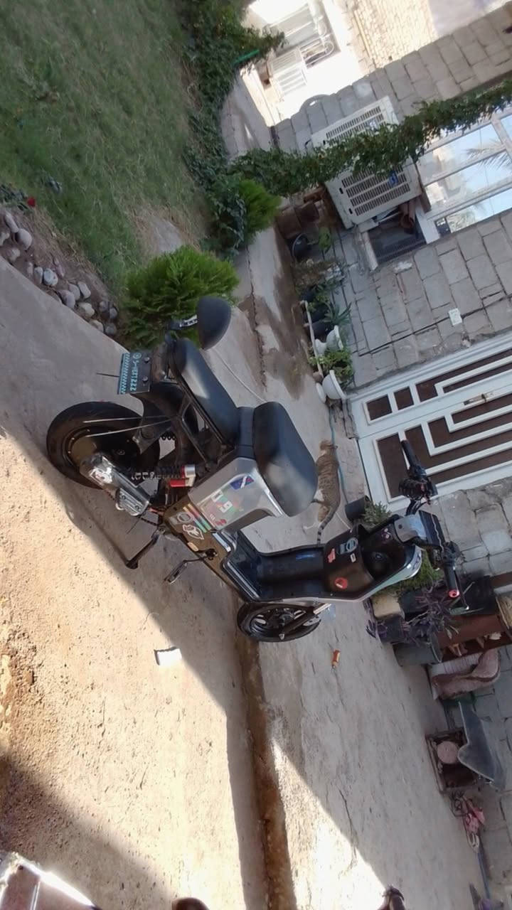 سلام عليكم دراجه شاحن  ار تسعه  دراجه حلوه ونضيفه  اسعر 275 بيه مجال لشرايه  تواصل خاص


**إذا كنت صاحب هذا الإعلان وتريد حذفه لأي سبب، رجاءا أرسل رسالة إلى الدعم الفني**
