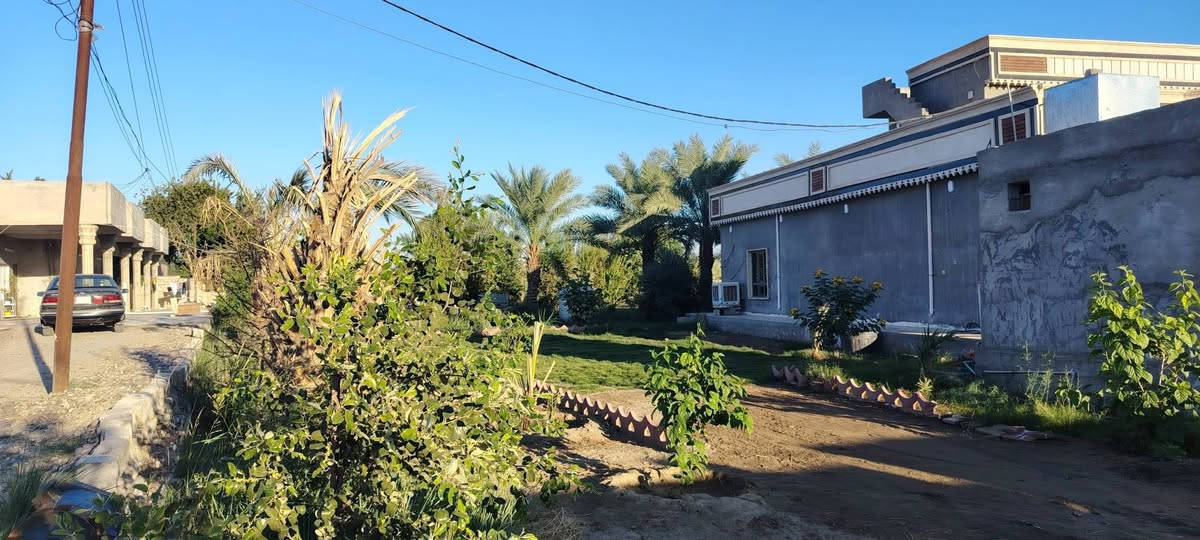 السلام عليكم 
للبيع مزرعه 4دوانم طابو سند 25 ابسم الوالد
مكانها الدبسه السده مال البوضايع 
مسيجه كلهه.
كامله مانقصه اي شي بير. غطاس +اساله ماي حلوو كهرباء ابنصها
3ابيوت بيها جاهزات فول مانقصات شي  +هيكل واصل للصب
الزاعه البيها نخل انواع عنب حلواني +نومي حامض +زيتون مشمش رمان زيتون تين  المزرعه مفوله
سعرها 750 مليون وبيها مجال. وماكو مشكله ابيع دونمين منها -حسب الاتفاق الي يحب يشتري يتصل. ويعرف تفاصيل اكثرر المايعرف سعرها لايعلق من كيفه. تعليق سلبي. لو تعلق تعليق حلو مثل اخلاقك لو تعبر المنشور جنك ماشفته 
***********
***********
