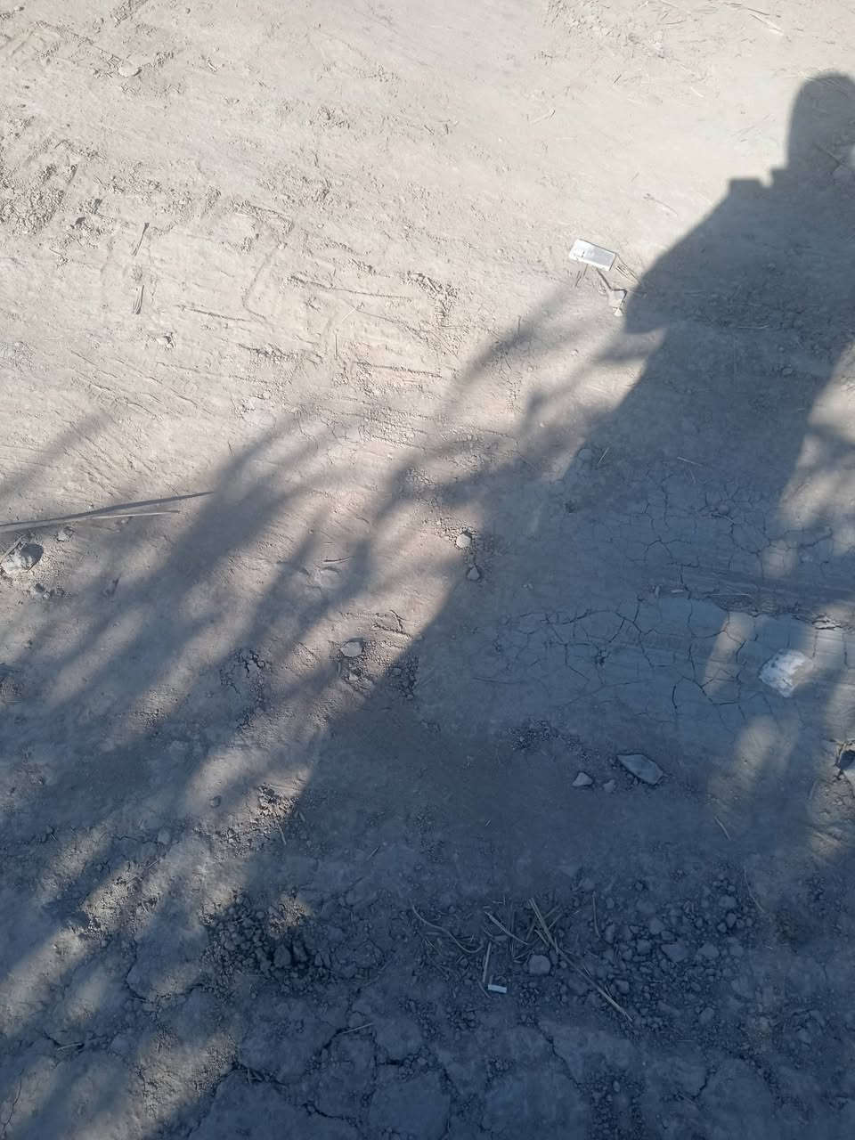 السلام عليكم دونم للبيع  يبعد عن شط المحاويل ٢٠٠ متر اتصل عله الاقام  *********** *********** صفاء ابو ملاك
