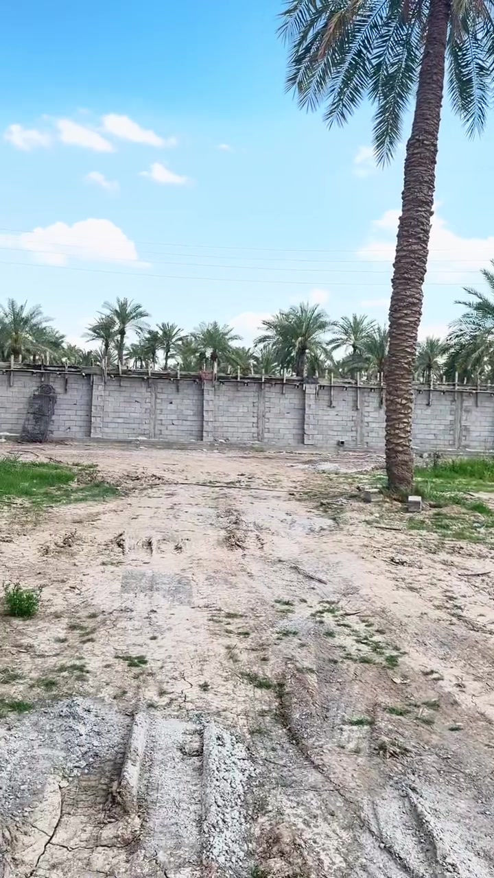 سلام عليكم دونم طابو صرف للبيع العنوان المدائن شارع سيد علي خدمات كاملة الاستفسار ***********
