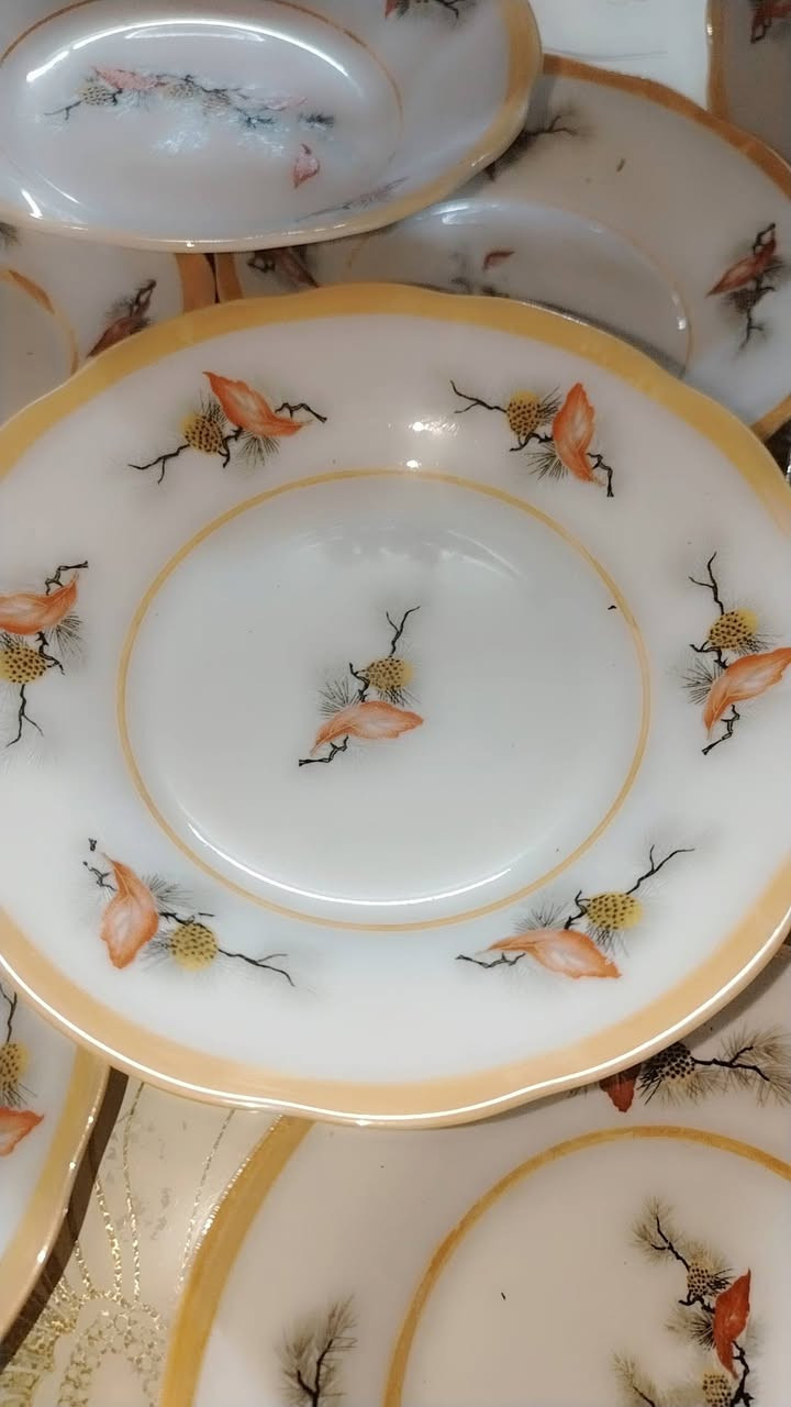 ماعون عمیق قیاس ۱٥ سم نص عدد ۱۲ قطعە یوجد التوصیل


**إذا كنت صاحب هذا الإعلان وتريد حذفه لأي سبب، رجاءا أرسل رسالة إلى الدعم الفني**