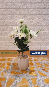 موديل جديد • سعر مناسب