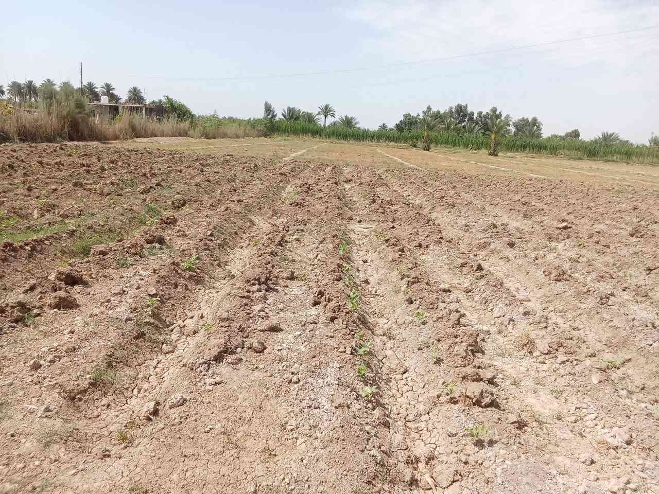 السلام عليكم دونمين للبيع في حي الزهراء متوفر كافه للخدما ت من ماء وكهرباء ومولد سحب الاتصال على الرقم ***********
