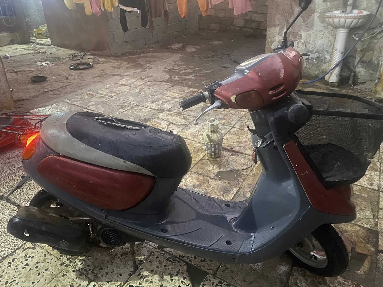 دراجا منغولي ماكاني حي العسكري ‭
‭0778 065 5485‬ (150سعر )
