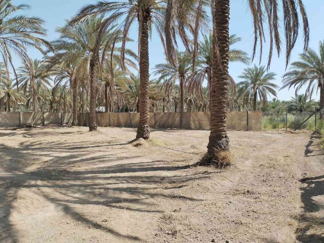 الف متر للبيع كربلاءالحر السواده على نزلة البوري الأسود ١٤٥ مليون الواجهه ٣٤ متر والنزال ٣٠ متر متوفر كهربائي وماء
*********** للاستفسار
