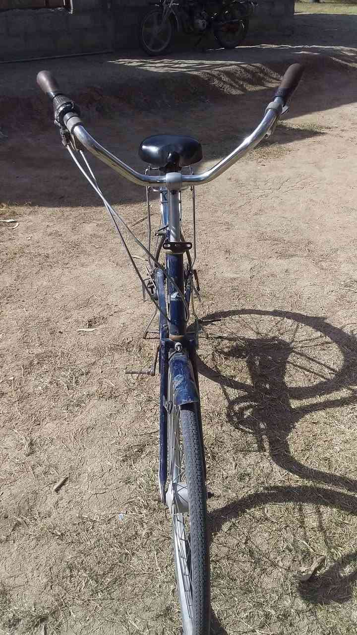 للبيع قيم بل يرضي الله


**إذا كنت صاحب هذا الإعلان وتريد حذفه لأي سبب، رجاءا أرسل رسالة إلى الدعم الفني**