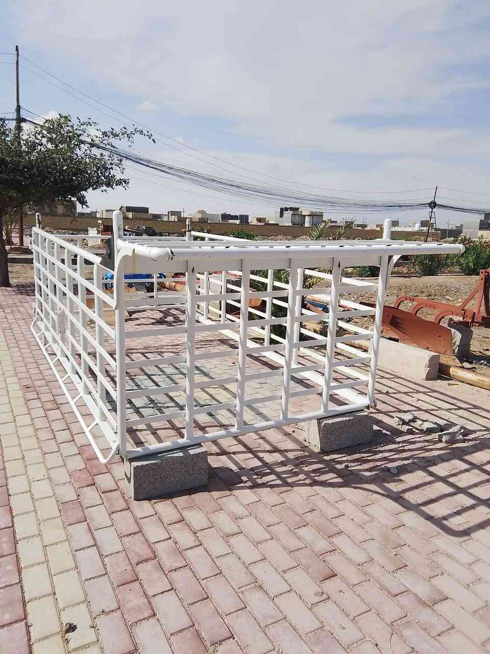 محجر فحل ***********
