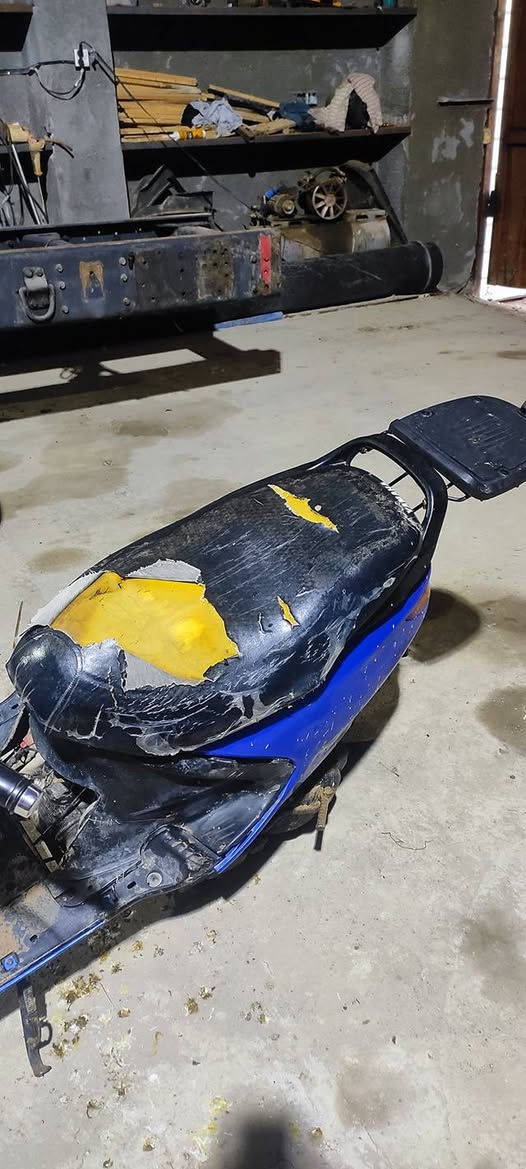 سلام عليكم دراجه فراشه نثيه مجفتهه مره وحده كلهه شغال هورن أشير سلف عوزه راجز سعر 300 وبيهه مجال مكاني ديوانيه سدير


**إذا كنت صاحب هذا الإعلان وتريد حذفه لأي سبب، رجاءا أرسل رسالة إلى الدعم الفني**