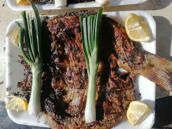 مسكوف ابو يزن لاسماك،  للطعم عنوان
سعر الكيلو 7500

المكان قرب موكز صحي
توجد خدمه توصيل.
***********
***********
نتواجد من 8صباحا الي 6مساء
