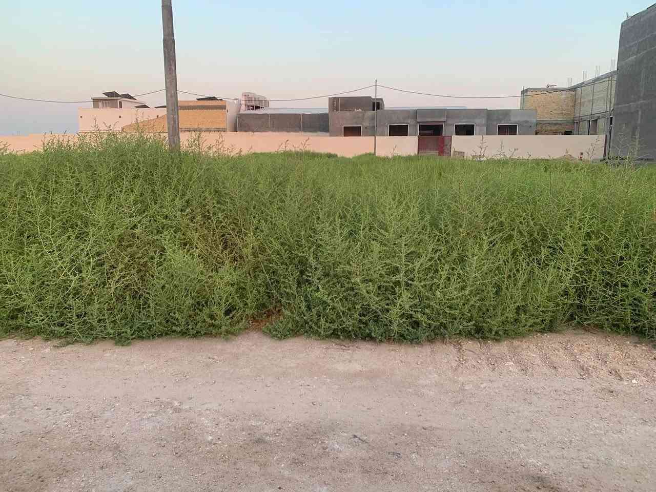 قطعتين ارض لبيع وحده  بصف الثانيه مساحة القطعه ٢٠٠متر تبعد عن الشارع العام ٣٠متر مجاوره لمدرسة دار العلم وبصفه حضانه موضحه بالفيديو قطعه ومحددات بالرسم الموجود وكل الخدمات بيه كهرباء مي 
الاتصال على الرقم 
***********
