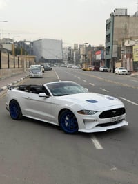 موستانغ GT • ٢٠١٩ • نمر ١٠