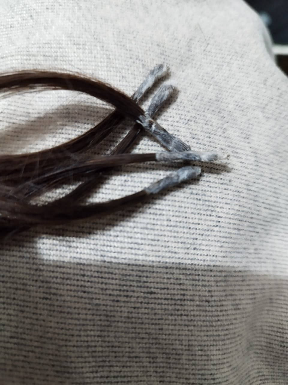 السلام عليكم عندي هاي الخصل اصلي 100% كوي كبس صبغ ميش كلشي وسهل تمشيطه مايتعكد خذتهن من اربيل كلفني 400 ابيعه ب 65 عندي 65 خصله


**إذا كنت صاحب هذا الإعلان وتريد حذفه لأي سبب، رجاءا أرسل رسالة إلى الدعم الفني**