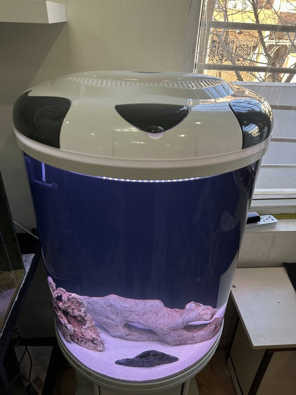 نرخی بۆتە ١٣٥ ھەزار داشكانی بۆ كراوە
حەوزێك پێشی كامل خڕە و تایبەتە بۆ  جوانی  
ئاوگۆڕینی ناوێت فلتەری شەریكەی خۆی لەگەڵە 
لیدێكی مواسەفاتی شەریكەی  تێدایە چەندین ڕەنگی جیاوازی تێدایەو كز و زیاد ئەكرێت بە خواستی خۆت
مۆدی گۆڕینی ڕەنگەكانی تیایە بە شێوەی ئۆتۆماتیك
 چەند بەردێكی زۆر تایبەتی لەگەڵدایە
ژێری لمێكی زۆری تێدایە
پشتی  باگراوندی ڕەشی لێ دراوە
قیاسی حەوزەكە بەبێ مێز درێژی ٦٠ سم بەرزی ٧٦ سم تیرەی پانیەكەی بۆ پێشەكەی ٣٦ سم 
بەرزی حەوزەكە بە مێزەكەوە ١٤٥ سم
تێبینی : حەوزەكە بەكارهاتووە
___
ئەوەی ویستی نامە بنێرێت لە واتس ئەپ یا ڤایبەر 
***********
گەیاندنمان تەنھا بۆ ناو سلێمانی ھەیە
