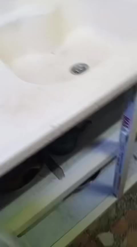 كاونتر البيع السعر ربع وبي مجال بسيط 

0 771 186 7618
