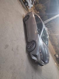 جيتي لاين • ٢٠٢٣ • مسيب