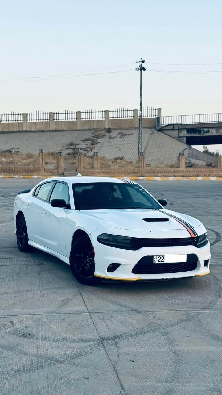 دوج جارجر 2020 GT

وارد كندي
ماشيه 94000
محرك 3.6 (V6)

مواصفات GT معروفه ..

شاشه تحكم لمس بلوتوث ابل كار بلي 
كامره ووحساسات خلفيه
شفتات وتحكات ستيرن 
مثبت سرعه
سماعات Alpan
قطعتين تبريد مركزي
كشن امامي مخمل كهربائي

ضرر سيارة … بيها صبغ بوند امريكا وجاملغ سايق وشويه من باب سايق وبيها مكان واحد تعديل بارد اثر شخط باب خلف سكن وبيها ملاحظات بعد اثر طخات 

سيارة جاهزه ومابيها دينار مصرف عليها طخم تايرات جديد وحداديه كير ومحرك وكهربائيات بشررط مكان سيارة كركوك تريد وكاله تريد تحويل 

⚪️ *********** ⚪️
