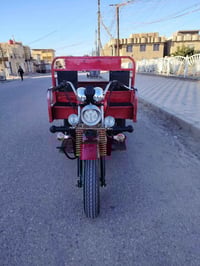 موديل 19 • أوراق كاملة • نضيفه