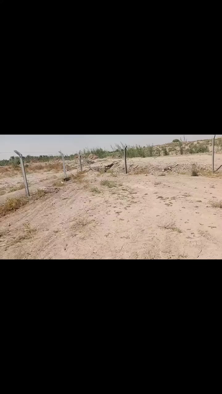 السلام عليكم لدينا دونم او 1000متر. طابو سند 25تحويل مباشر. بسم المشتري كربلاء شارع الرابط منطقة الزبيليه مقابل محطّة الغاز   ابصف گاع محمد حلوه كافة الخدمات متوفره ماء كهرباء شارع تبليط داخل ابنصهن  دريد الف متر تاخذ تريد نص دونم تاخذ تريد دونم تاكذ تريد كلهن تاخذ سعر الف 80مليون مع المجال  سعر النص 90مليون مع المجال الاتصال على الرقم ***********🌺***********
