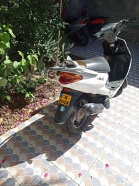 دولفين • مفتوحه • تجفيت