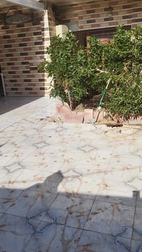 الطنبي • ٢٧٥م سند • ٤غرف