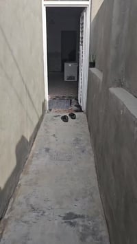 حول القصيمة • بيت ١٠٠م • طابو زراعي