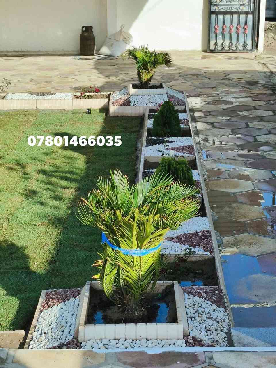 كادر متكامل لتنسيق احدث ديكور الحدائق المنزليه.... اشغل عل متر او عل يوميه حسب التفاق.... تصل.. *********** ابي واتساب..
