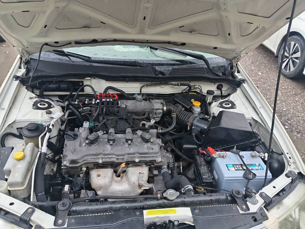 نیسان سەنی کۆری 2012 بێ بۆیاخ بێ ساردەکوت گێڕو مەکینە و تەبرید بەشەرت سەنەوی هەتا 2029 تازەیە هەزەی تازەیە چوار تایەو ویل کەپی تازەی لە ژێرایە هەموو شتێکی بەشەرتە سعرەکەی 123 وەرەقەو مەجالێکی برایانە2817671 0750 واتساب أربيل, العراق
