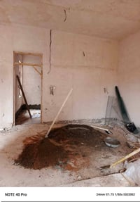 النجف • لط وجص • متفرغ