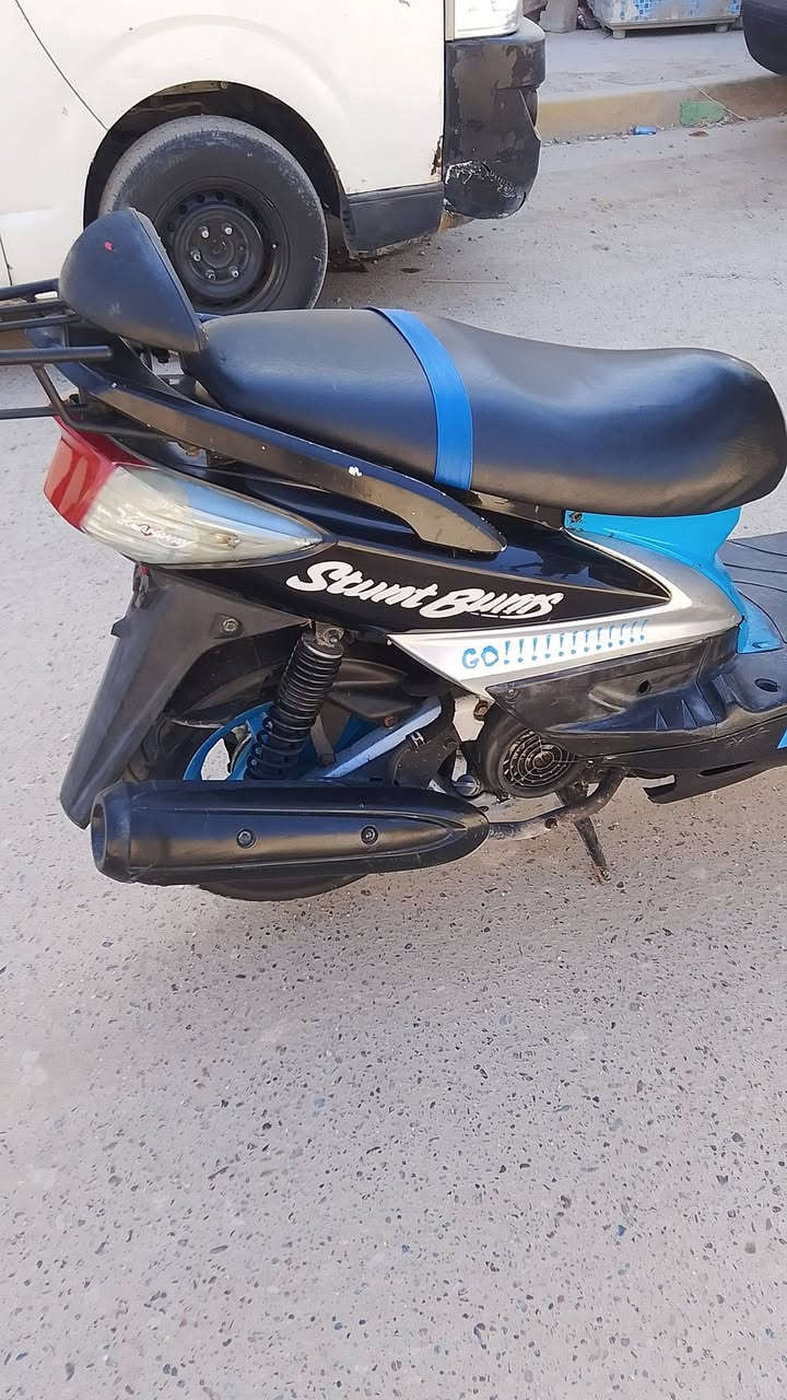 سكنس فحل ياباني البيع او مراوس واخض فرق مكفول شلعه ومعدل فول بغداد مدينة صدر900الف ***********
