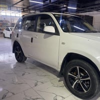 شيري تيكو • ٢٠١٣ • كربلاء