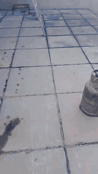 استيكر ايزوكام • كرستة سيارات • قلع ماستك