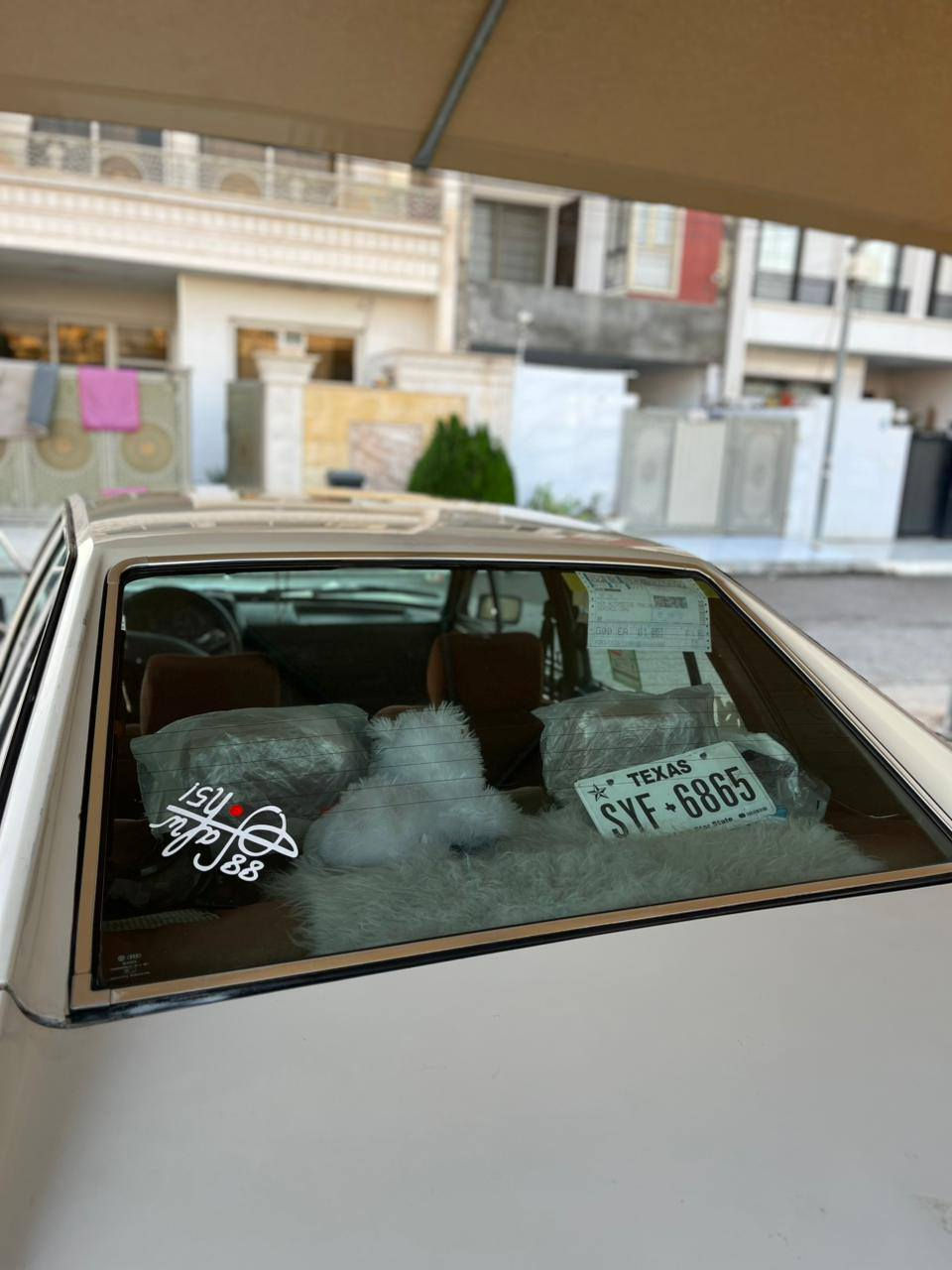 سه ره تا به ناوي خواي كه وره و مهيره بان 
به رازيلي فؤكس واگن 
مؤديل1986
كيرومه كينه به شه رت 
كاره باي به شه رت 
 هه موودوكمه كاني ئيش ده كات 
(سالؤنساي بيلاده)(هؤرن بيلاده)
(مكه به ره ي بيلاده)(٤گئرى بيلاده)
(گئيچ و حه ماوه و پاترى و رؤن و هندر برئكى ئيشه كا)
كوشني بلاده هيچ  ته قيوي نيه 
زؤؤ خاوين ماوه ته وه 
وه كوو سبوخ يه ك ده ركاي سه كني تؤزيك محجونه ژئرى سه ياره كه زؤر له سه ره وه ى جوان تره 
سه يره كه زؤر تووندوتؤله 
هه مووي ئيش ده كات به شه رت 
سه ياره كه وسفي ناويت 
ره قه م سه دامي كه ركوكه سه نه وي ئه سلي له گه له چوار تايه ي خاويني له ژيره سه ياره كه وه سفى ناوئت له رسمه كان زؤر جوانتره نرخى 23 وه ره قه مه جالئكى برايانه ژ.م *********** شوئين هه ولير أربيل, العراق
