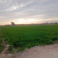 ٤ دوانم • أوقاف • قضاء المدائن