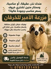 خرفان للبيع • خروف نذر • خروف عقيقة • ذبح وتوصيل • خرفان الفلوجة • مزر...