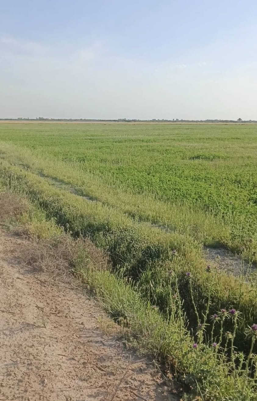 سلام عليكم البيع 50دونم سبع البور منطقت المصالحه وطجاج ماء وكهرباء متوفر عل طابو ابو غريب سند 25
***********
سلام عليكم البيع 50دونم سبع البور منطقت المصالحه وطجاج ماء وكهرباء متوفر عل طابو ابو غريب سند 25
