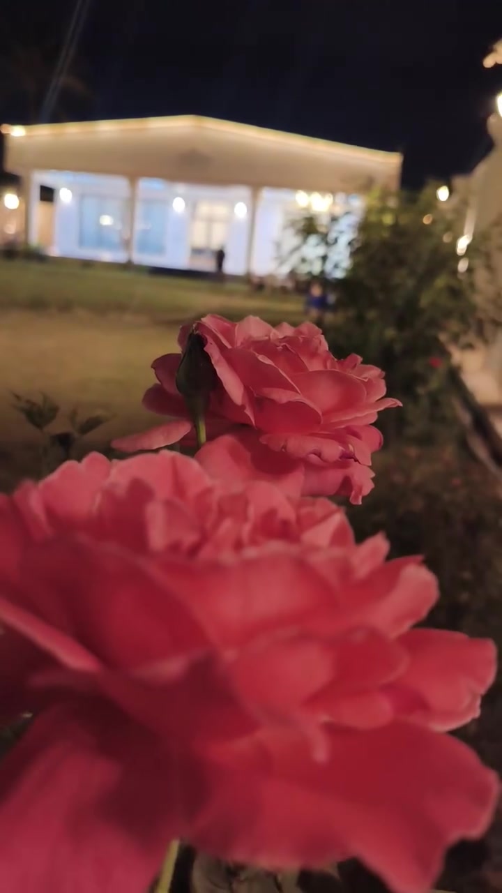 يتوفر حجوزات مزارع البوعيثه للحجز والاستفسار
***********
***********
