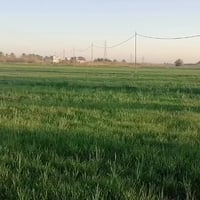 أرض ضمان لأصحاب الحلالَ مساحه كبيره ٠٧٨٠٧٤٤٤٤٧٦