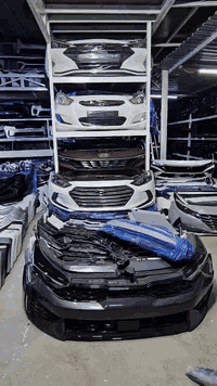 مجمع الكوري الزعفرانيه 07714702354