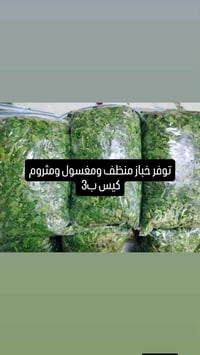 خباز مغسول • جاهز للطبخ • توصيل بعقوبة