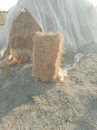 كبس تبن • بابل القاسم • معدات زراعية