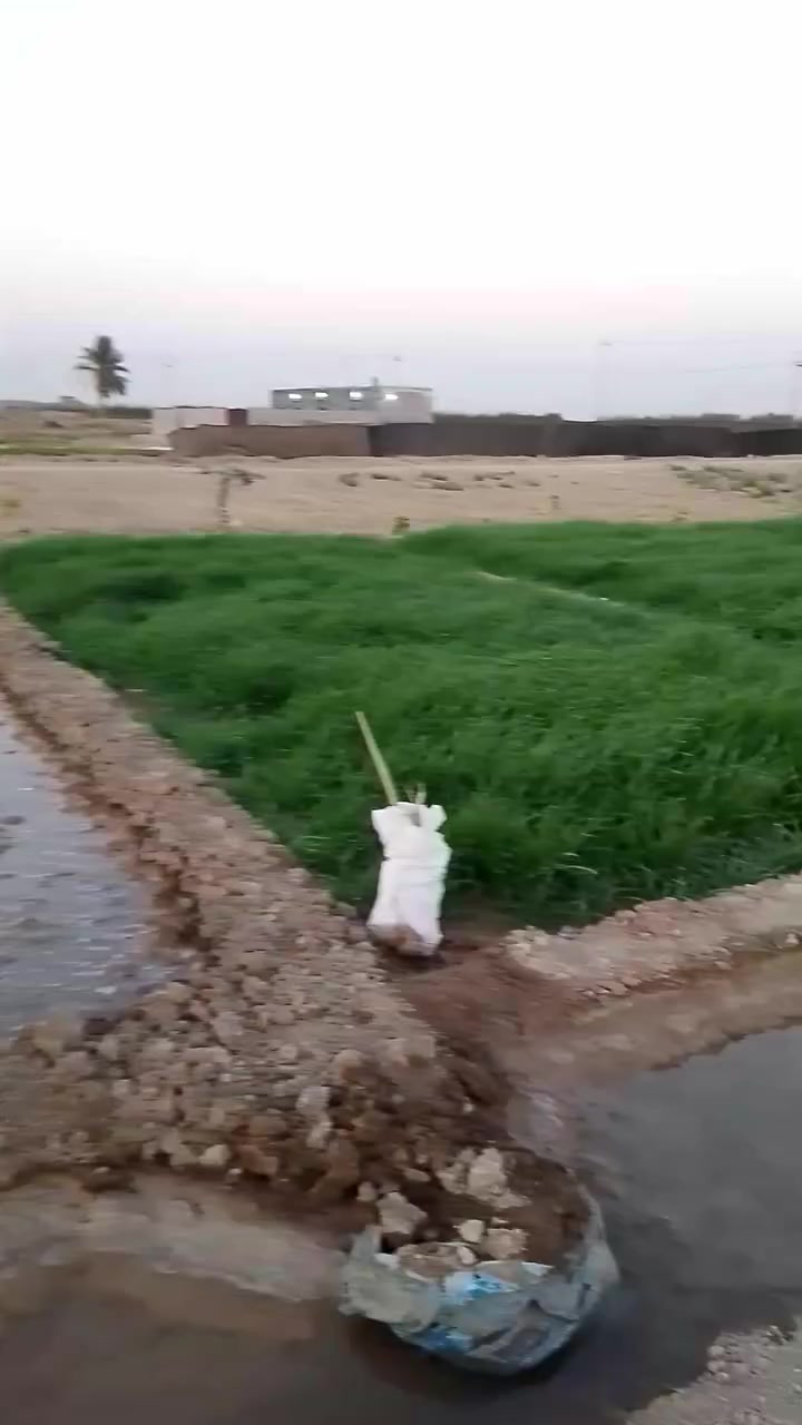 مزرعه للبيع دونم ونص  
يوجد ماء سقي وكهرباء 
***********
