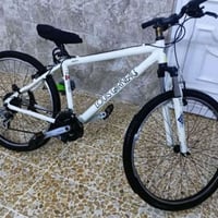 لويس • نضافة ١٠٠٪ • حي فلسطين