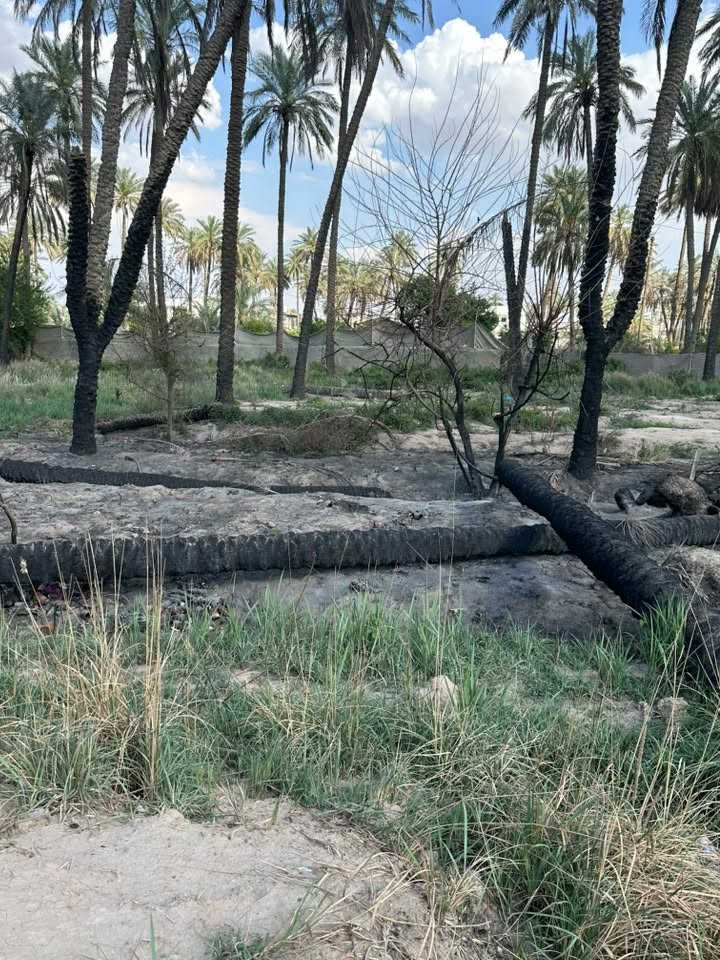 قطعة ارض زراعي سند 25 ملك متوفر جميع الخدمات ماء + كهرباء للبيع المساحة 120 متر مطله على شارع البيارق السعر السعر 35
التواصل :***********
